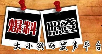 新闻爆料的配乐是什么,旋律背后的故事